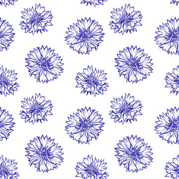 Cornflowers, vector illustration. Seamless pattern with flowers on a white background.