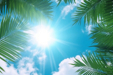 Fototapeta na wymiar Palm leaves on the sunbeams and blue sky