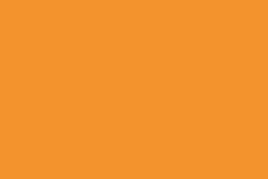 Apricot crush , color of the year 2024 