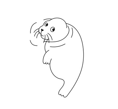 Vector isolated one single cute cartoon floating navy seal sea lion sea calf colorless black and white contour line easy drawing
