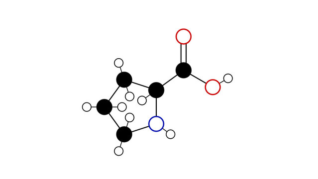 proline molecule, structural chemical formula, ball-and-stick model, isolated image proteinogenic amino acid