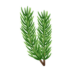 Fluffy Christmas tree branch 3D. Green pine, evergreen plant. Winter holiday element for decoration, design of banner, card, poster. Isolated Christmas tree branch on white. Vector illustration.