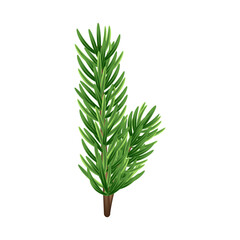 Fluffy Christmas tree branch 3D. Green pine, evergreen plant. Winter holiday element for decoration, design of banner, card, poster. Isolated Christmas tree branch on white. Vector illustration.