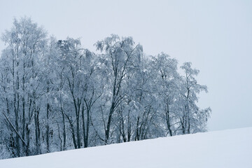 Image from rural Toten by Hoff in winter with hoarfrost.