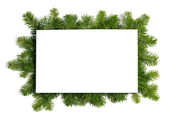 Christmas border of fir branches