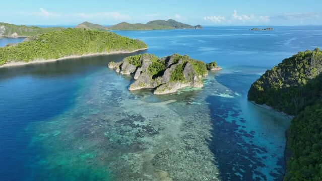 The incredibly scenic islands of Penemu are surrounded by beautiful coral reefs. These islands, found in northern Raja Ampat, support an amazing array of biodiversity.