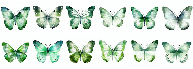 green watercolor aquarelle butterfly set butterflies isolated on transparent background clipart - obrazy, fototapety, plakaty
