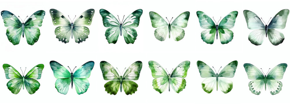 Fototapeta green watercolor aquarelle butterfly set butterflies isolated on transparent background clipart