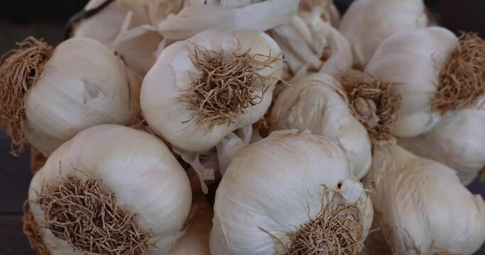 Close-up a bunch of garlic along with plant roots. The bundles of dried garlic from organice farm 4k