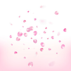 Fototapeta na wymiar Rose Petals Flying Confetti. Blooming Cosmetics Ad Beautiful Floral