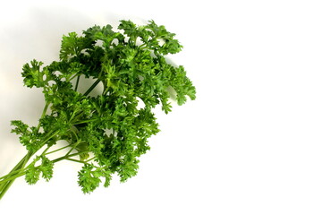 A bunch of fresh parsley lies on a white background.