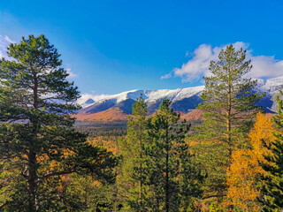 Autumn Arctic landscape in the Khibiny mountains. Kirovsk, Kola Peninsula, Polar Russia. Autumn colorful forest in the Arctic, Mountain hikes and adventures.