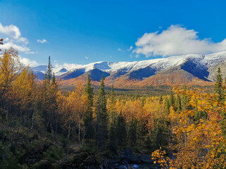 Autumn Arctic landscape in the Khibiny mountains. Kirovsk, Kola Peninsula, Polar Russia. Autumn colorful forest in the Arctic, Mountain hikes and adventures.