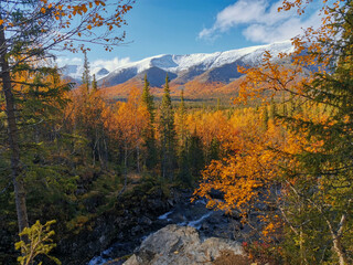 Autumn Arctic landscape in the Khibiny mountains. Kirovsk, Kola Peninsula, Polar Russia. Autumn colorful forest in the Arctic, Mountain hikes and adventures.