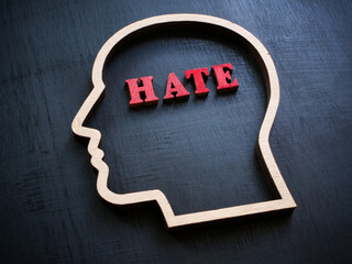 Outline of a head with the inscription hate inside.