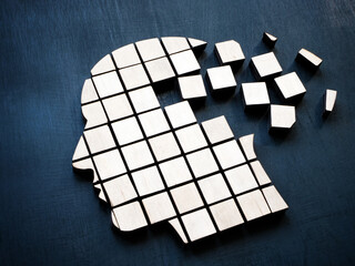 Head made of cubes as a concept of memory.