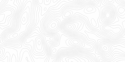 Abstract lines topography map background. Contour maps. Vector illustration, Topo contour map on white background, Topographic contour lines.