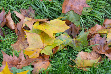 Ecology. Ecological pollution. Nature is in danger.