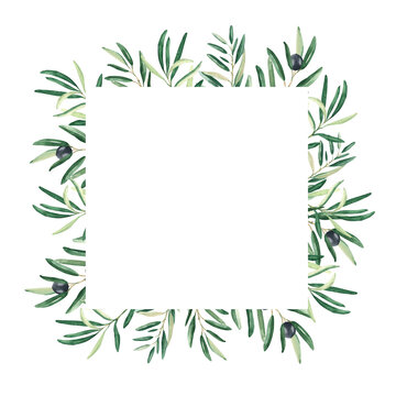 Olive tree square frame. Black olives and branches. Hand drawn watercolor botanical illustration isolated on white background. Can be used for cards, logos and cosmetic design.