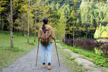 Woman hold with trekking pole and walk along the hiking trail
