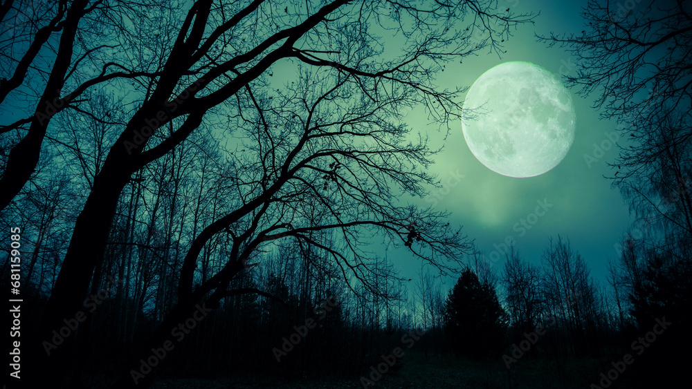 Wall mural night sky with moon and dramatic trees. dramatic clouds in mystic moonlight. large bright moon as co