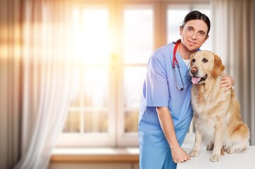 Vet doctor with dog pet for vaccination