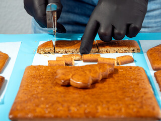 Traditional Christmas baking. We bake cakes for a traditional Christmas gingerbread house.
