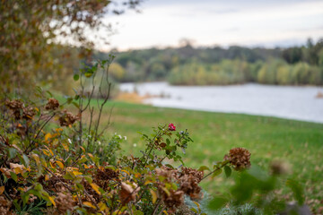 Ecology. Ecological pollution. Nature is in danger.