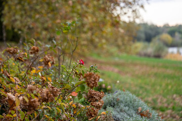 Ecology. Ecological pollution. Nature is in danger.