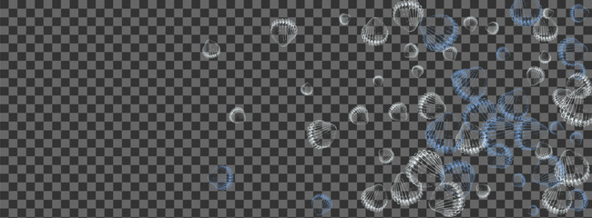 Navy Scallop Background Transparent Vector. Seashell Coastal Pattern. Drawing Graphic. White Shell Underwater Design. © Vlada Balabushka