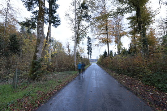 regen waldstrasse ersigen nasse fahrbahn