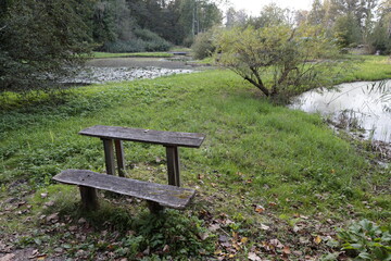 fussweg wald teich ruhebänkli picknick