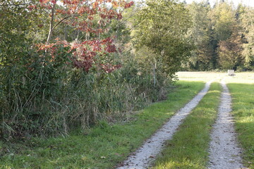 feldweg naturstrasse