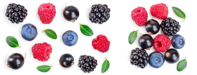 blackberry blueberry raspberry black currant isolated on white background. Top view. Flat lay...