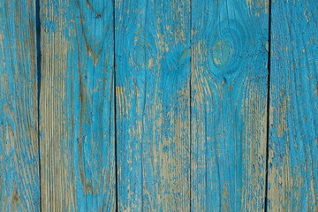 vertical texture of an old blue  wooden fence with boards painted with peeling paint
