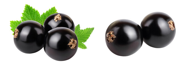 black currant with leaves isolated on white background with full depth of field