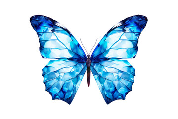 Beautiful color butterfly isolated on a transparent background