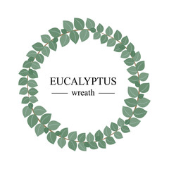 Vector Eucalyptus wreath. Green eucalyptus leaves and branches frame for greeting card or invitation design. Greenery round invitation frame isolated on white background. Flat vector illustration