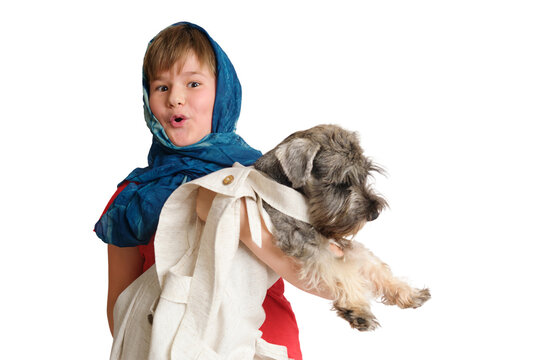 Child holding a white miniature schnauzer dog, surrounded by happiness in the studio, isolated on white background