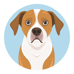 dog cartoon _ portrait of a dog _ vector illustration _ animal vector _ dog face illustration