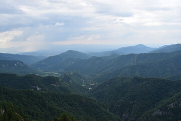 Fototapeta premium Foggy forest landscape in the morning
