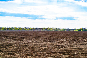 Photography on theme big empty farm field for organic harvest