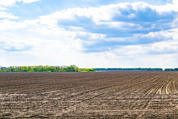 Photography on theme big empty farm field for organic harvest
