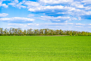Beautiful horizon scenery in village meadow on color natural background