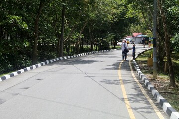 The road to the beach in the shade of trees.