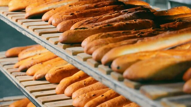 Baked, ruddy baguettes, bread, buns, lie on a wooden rack in a bakery. Bakery baking concept. Close up