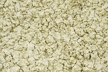 Yellow clay colors at John Day Fossil Beds National Monument with cracked pattern