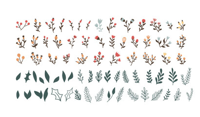 Christmas vector plants, holly berry, christmas tree, leaves branches, holiday decoration, winter symbols. floral collection with winter decorative flowers. Hand drawn elements. Happy New Year
