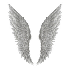 3d angel wings