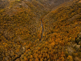 Wald Landschaft von oben im Herbst in Aveyron Frankreich
